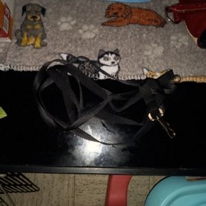 2 black dog leashes